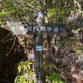 東海自然歩道になってます