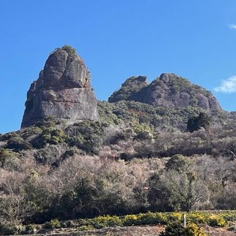 Guest 昭和生まれのムツゴロウ