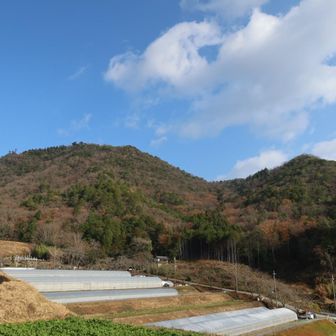 これがクジラ、なのかな。左が羽束山、右が甚五郎山