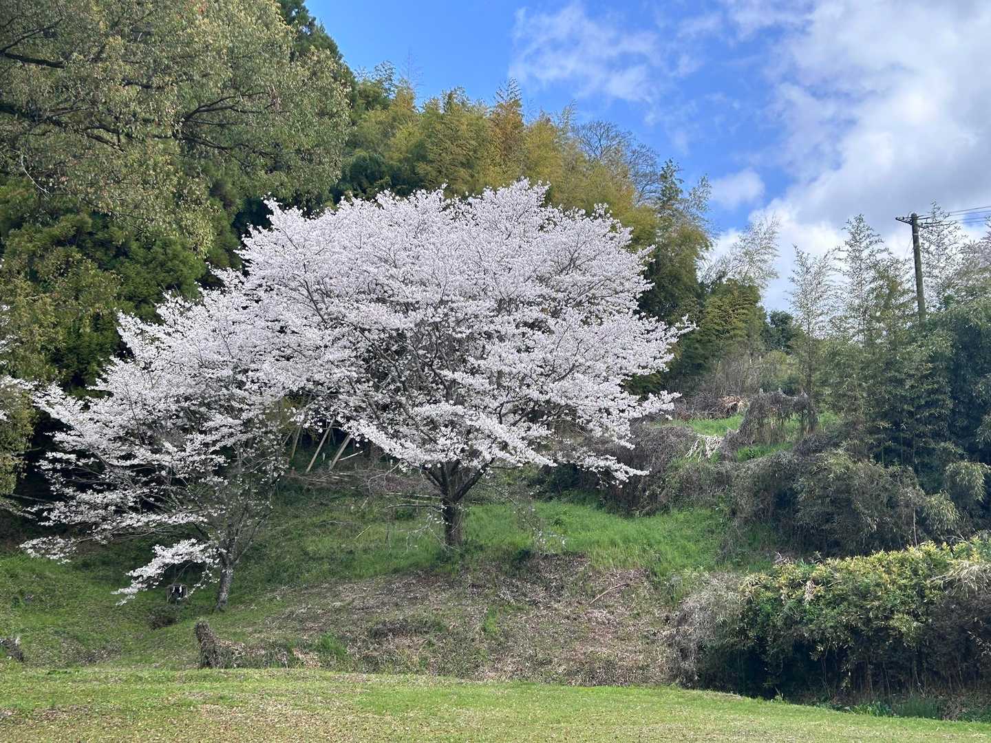 ⭐︎ヤマ⭐︎ 熊本市内の自宅から山鹿市方面へ行く際の抜 / yasuさんのモーメント