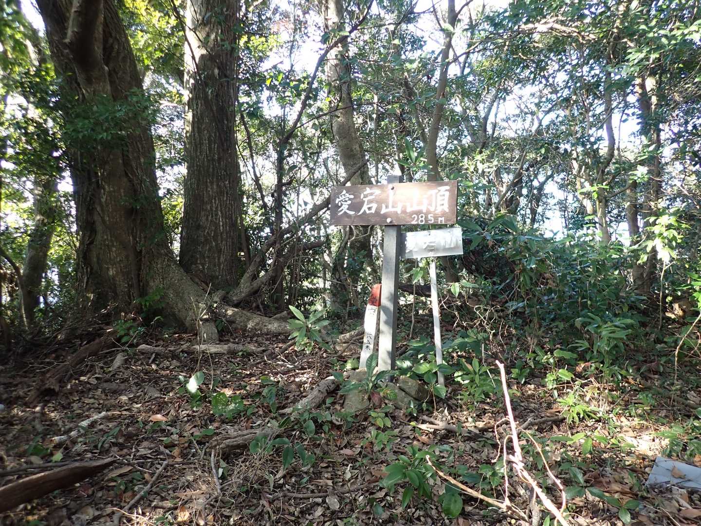 神社左側に山頂標識あり
展望なし
