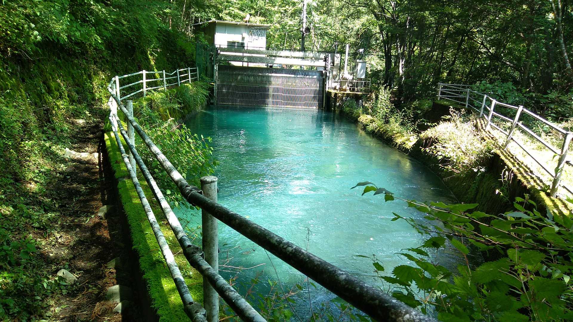 大門沢登山道入口-農鳥岳 往復コースの写真