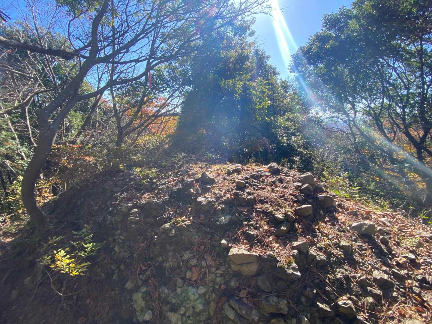 ここで山コーヒー、写真撮り忘れました。ここで折り返します。