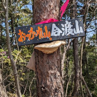 サルの腰掛けの上に…合渡山の標識が腰掛けて居ます🐒😅
何処かで、12時のチャイムが鳴っていました〜🎶
ナイスモグモグタイムです👌😋✨