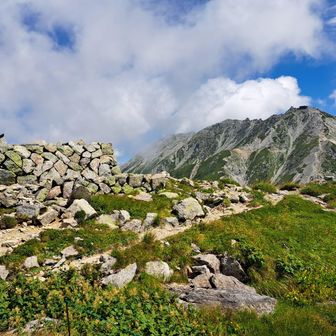 急登を登りきると