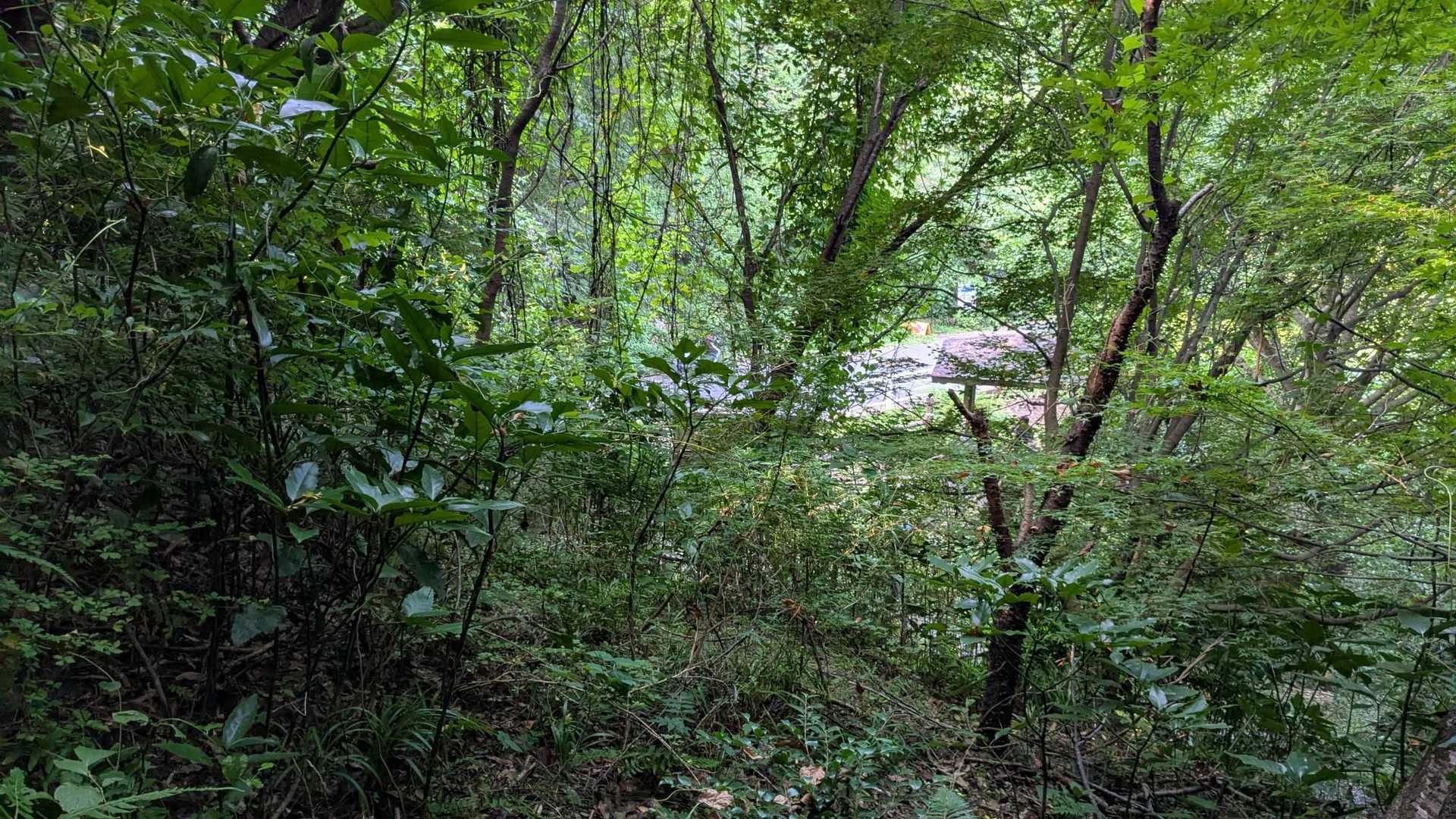 峠の東屋が見えて来ました。