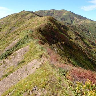 泊岩の先から金山まではひたすらにご褒美ロード✨️