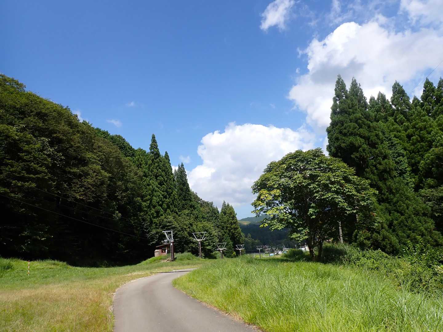下界は暑いー！(^^;)
いかに尾根も、谷も、やっぱり山の中は涼しかったなぁ、と、降りてみて実感です。
