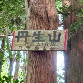 鳥居のよこにこのカンバンあるけど

YAMAPでの山頂マークは、中に入って☝🏻奥の 建物の真裏あたり。そこぐるっと回ったけど 何もなかったけど。