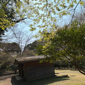 歩くの再開、源氏山公園というだけあって整備されてます。
キレイそうなトイレあり