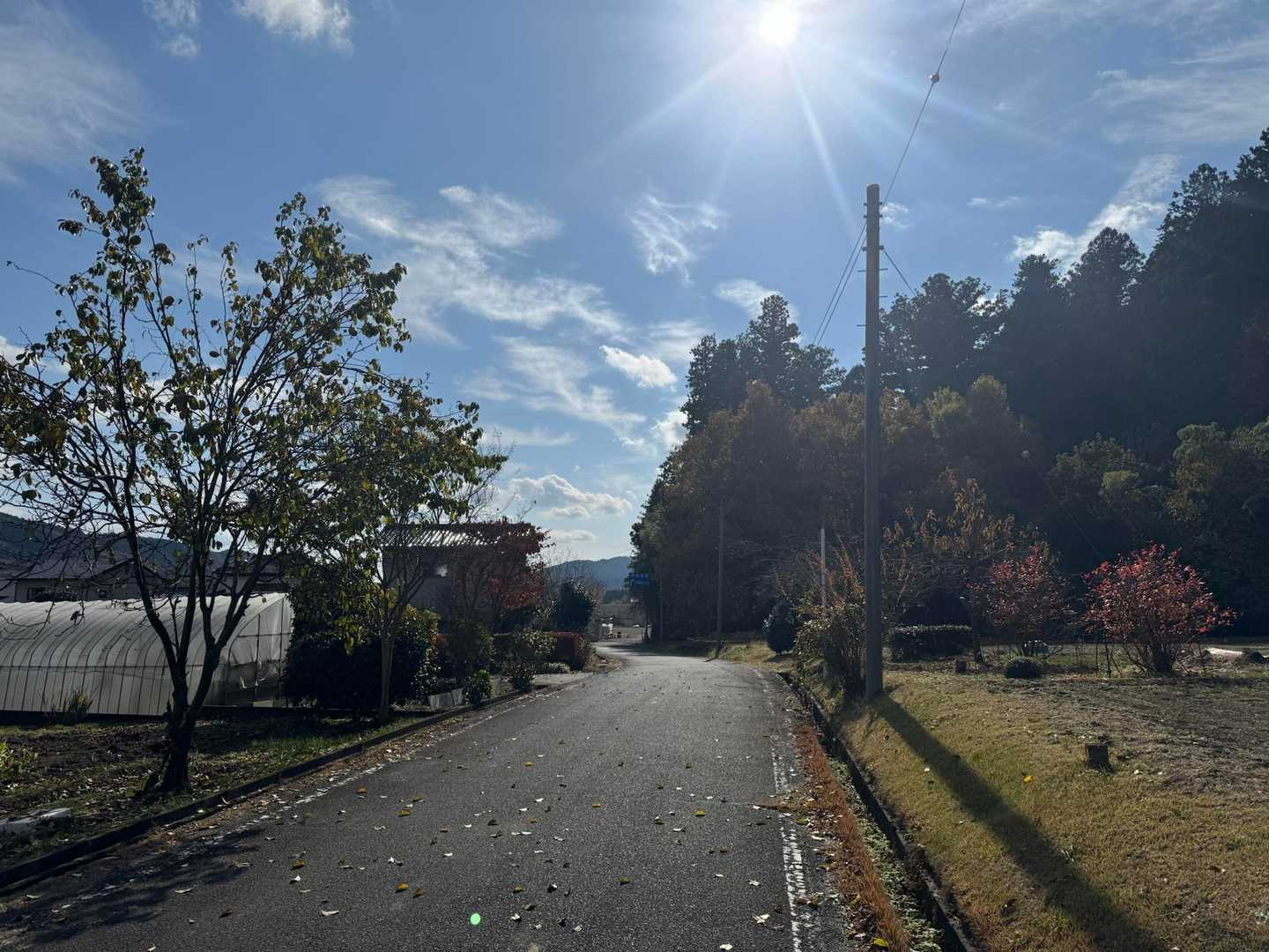 無事に帰ってきましたよ
頑張って歩きました😊
