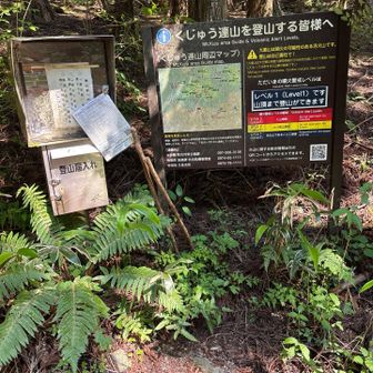 大分県は　ヤマップ計画書出せば
届けしてる様になる