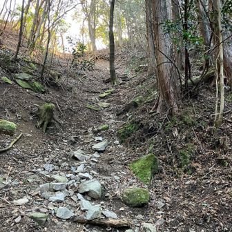 急登の先に光り輝くゴールが見えてます。