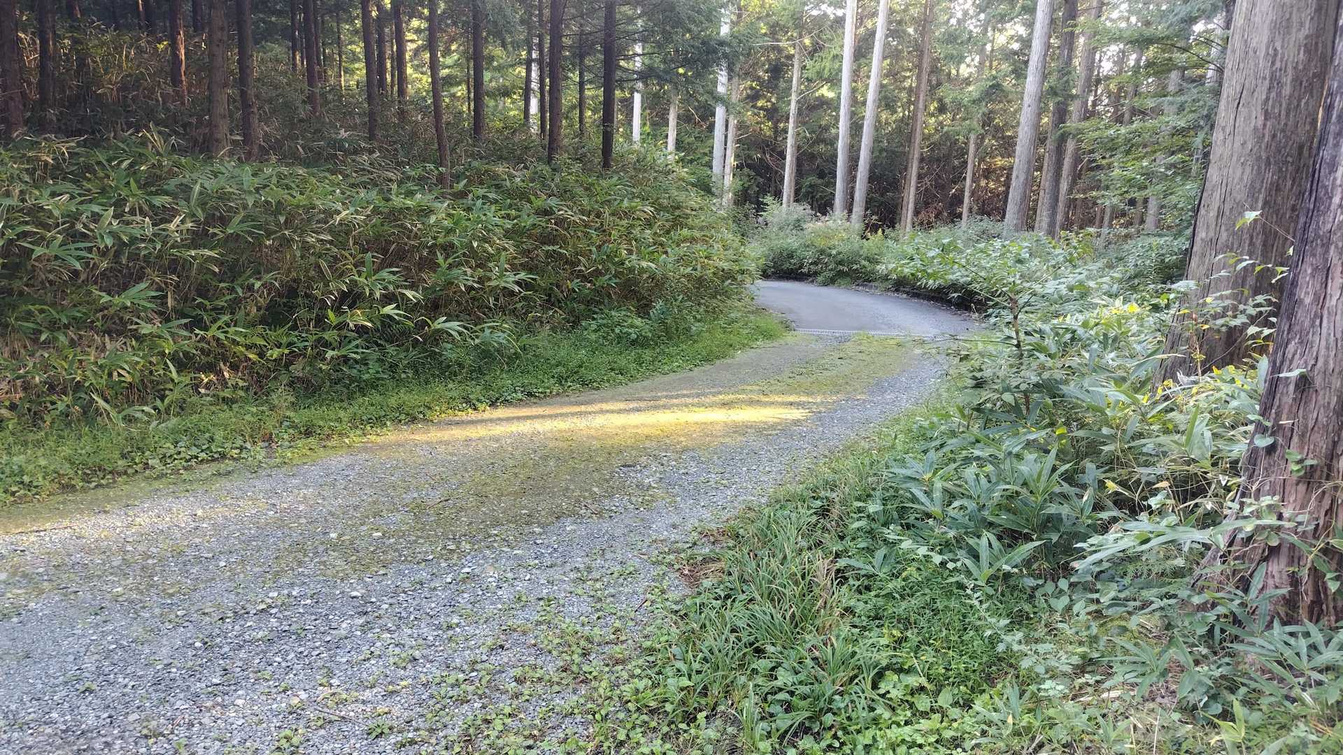 丸山産業さんにセットして、そのままずっと直進すると、駐車地のすぐ手前まで舗装路で来られました👏
ちょっと道幅が狭くて、段差のあるところもありましたが特に問題なしでした👍