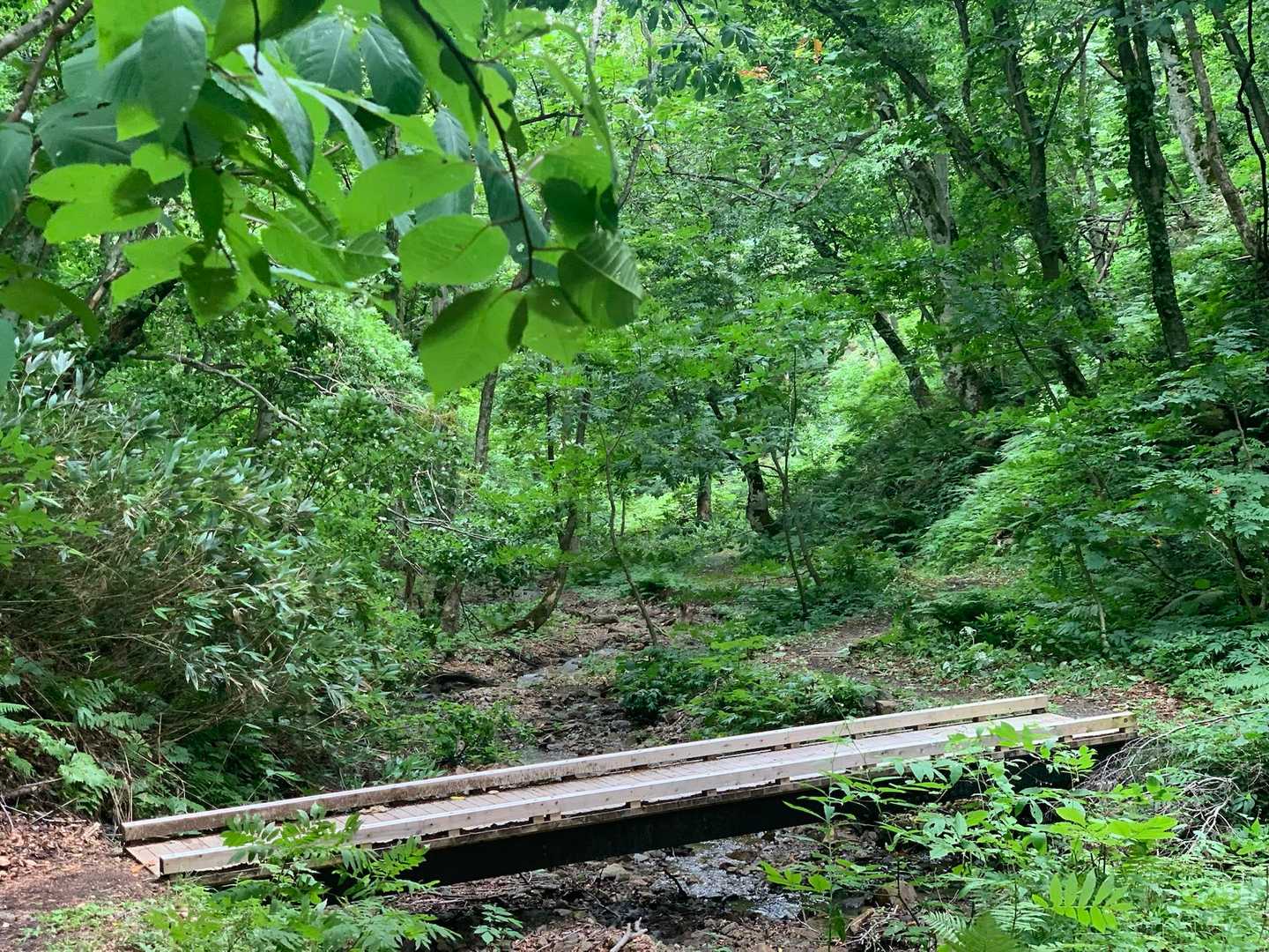 さて。帰りましょう！今日もありがとう✨