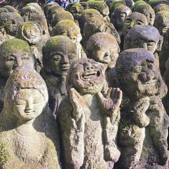 なんかで見た！なんだっけ？