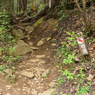 馬車道と旧道が分かれるところでは、ショートカットの旧道を辿りました。すると、足場が悪いせいで渋滞が発生。広い馬車道の方を歩けばよかったかと思いましたが、なんとか抜け出しました。