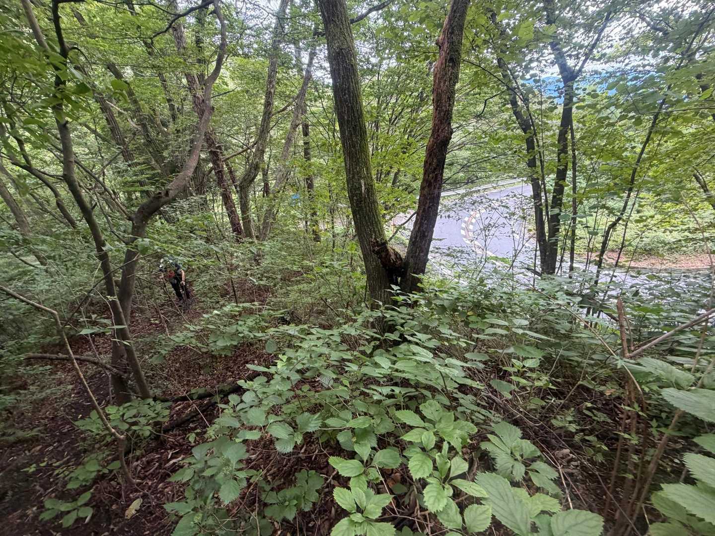 外の道路は豆腐配達に使ってるあの道ですよ