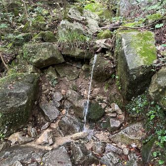 これからの季節は水場で顔を洗えるのが嬉しい