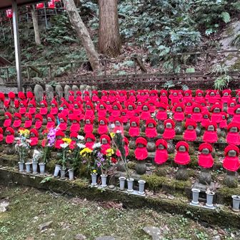 手をしっかり合わせました