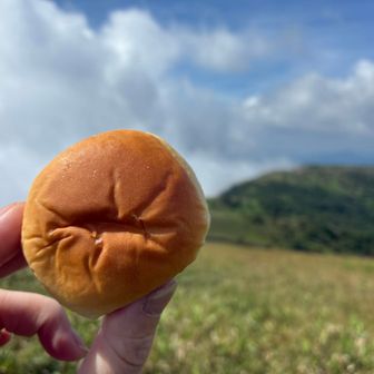 あんぱんチャージ🥯
薄皮あんぱん４個入り最近お気に入り