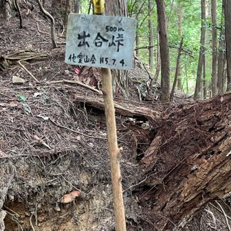 矢筈ヶ岳までがアップダウンの繰り返しで、やっと出会峠と〜ちゃく〜✌️