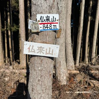 この山頂は　ホント当たり🎯でした

ココは暖かいから　御仏も弁当食べに寄った場所なのかもしれません　山名の由来　😅

今日この後行く予定だった山を度外視し　先々また来る予定構想を練りながら　高見ホルンからの美しい秋の澄んだ空気の　見事な目の前の稜線美を楽しめました♪