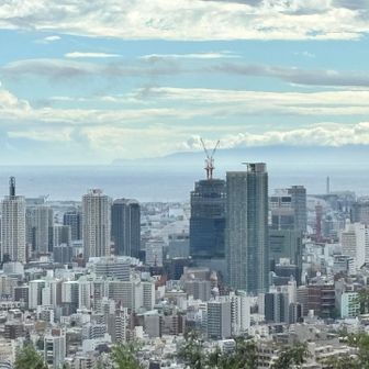 タワー🗼