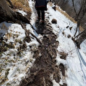 前夜に雪降ったらしくぐしょぐしょなところだらけだった
