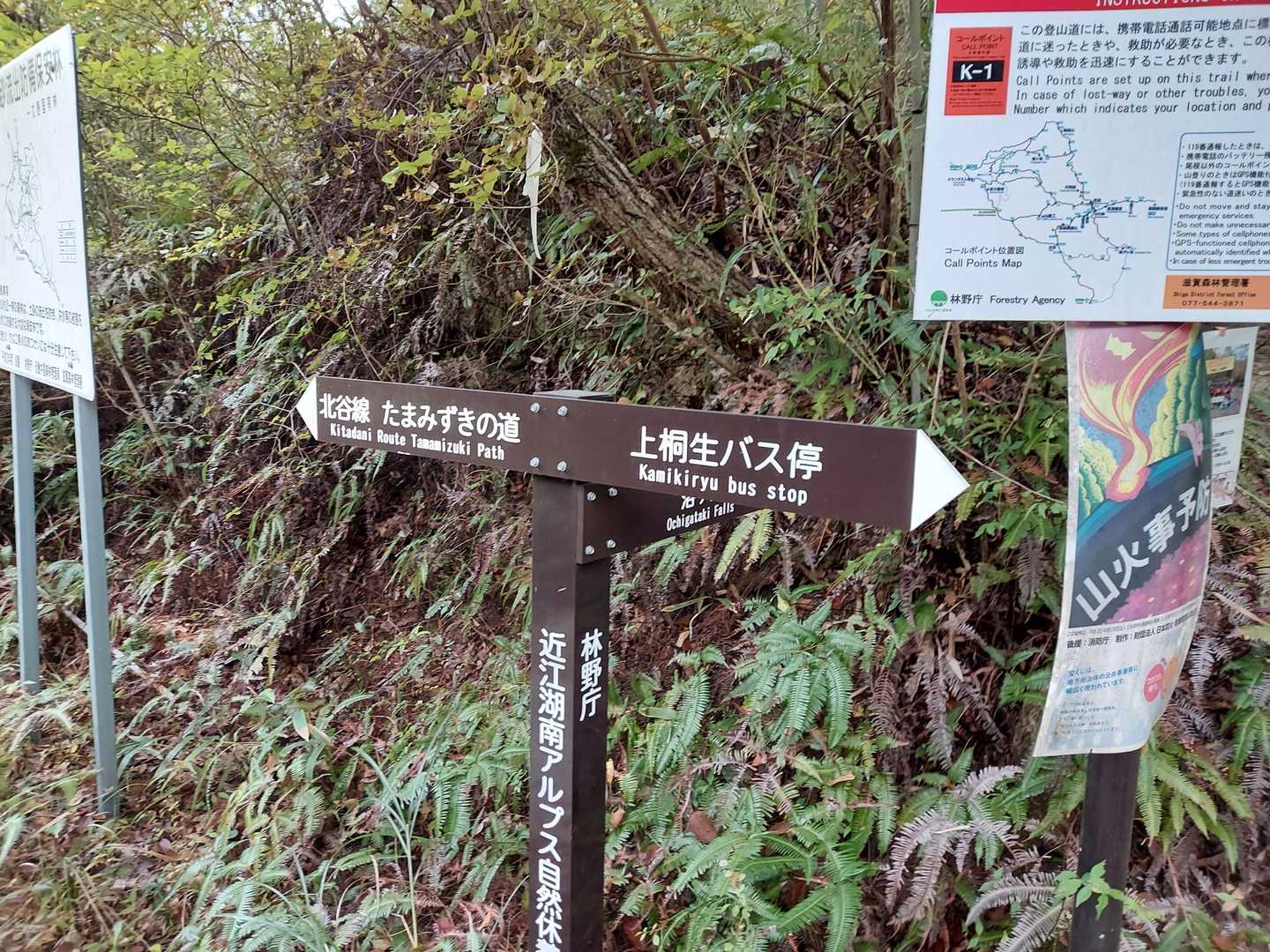鶏冠山は、たまみずきの道方面です