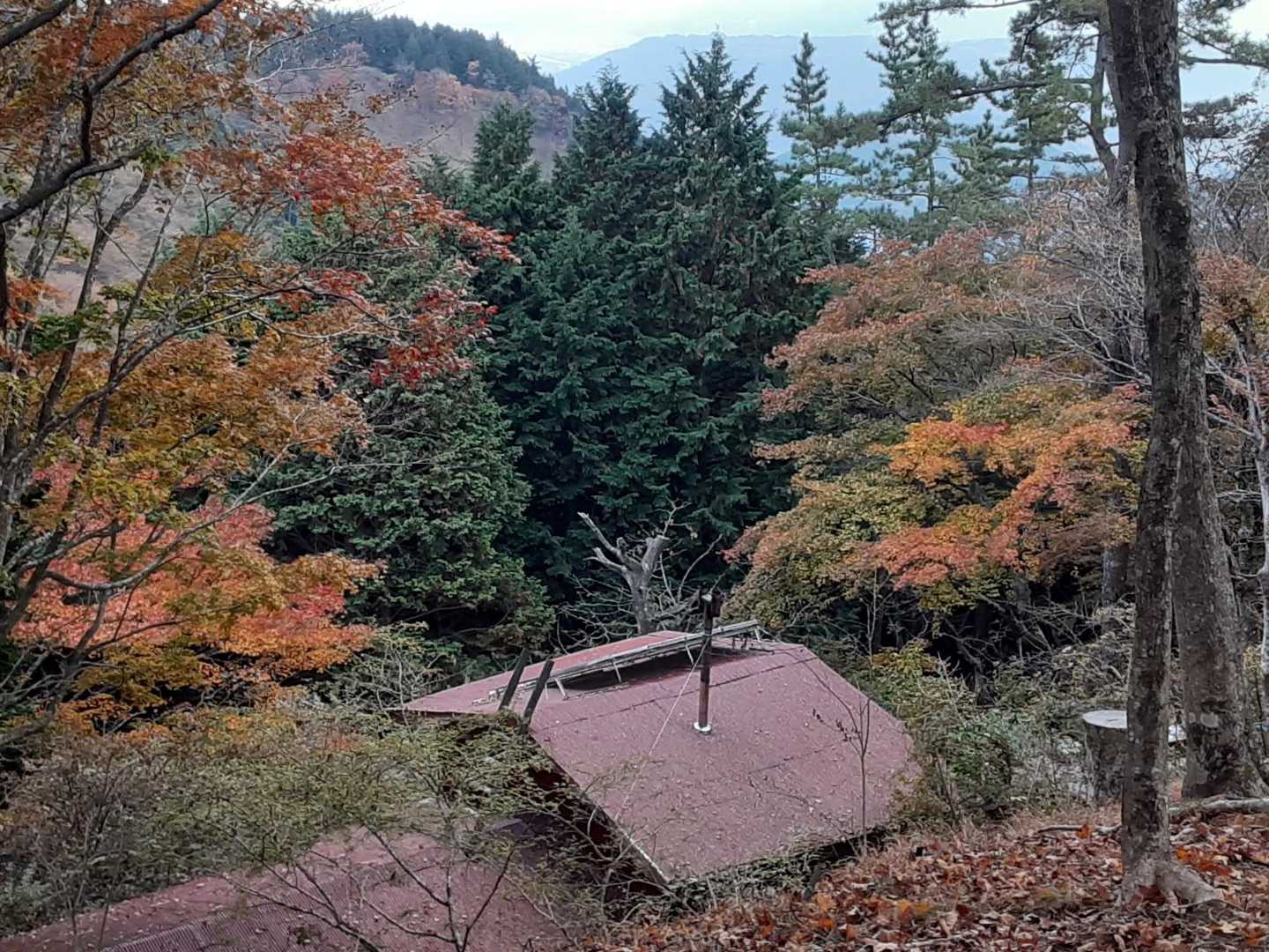 堀山の家の屋根