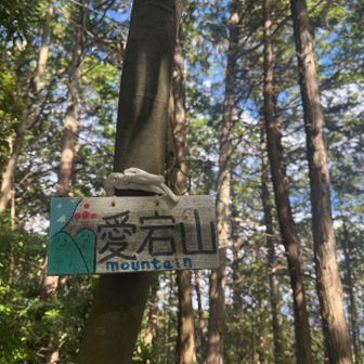 愛宕山✨✨