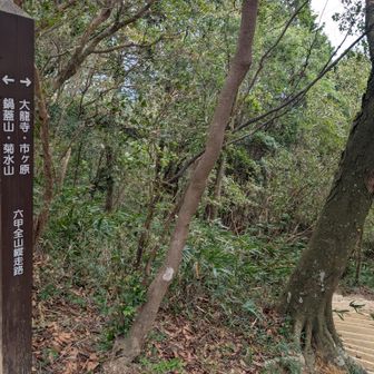 再度山公園迄下ります〜
