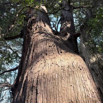 自然のパワーをもらいました。
ありがとうございました🙏