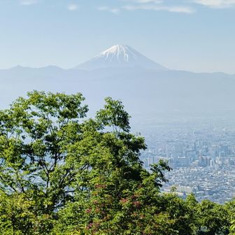 甲府の市街地も一望
(熊蜂🐝が旋回中😉)