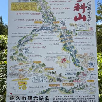 こちら側からも今度登ってみよう。