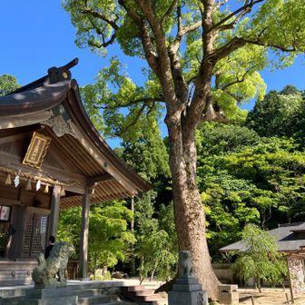 今日は一日ありがとうございました。
最後に感謝の参拝です。
この後御朱印を頂きました✨