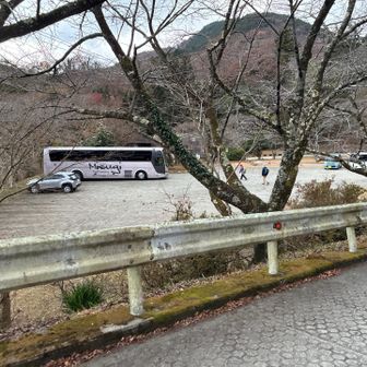 バスが来てます。