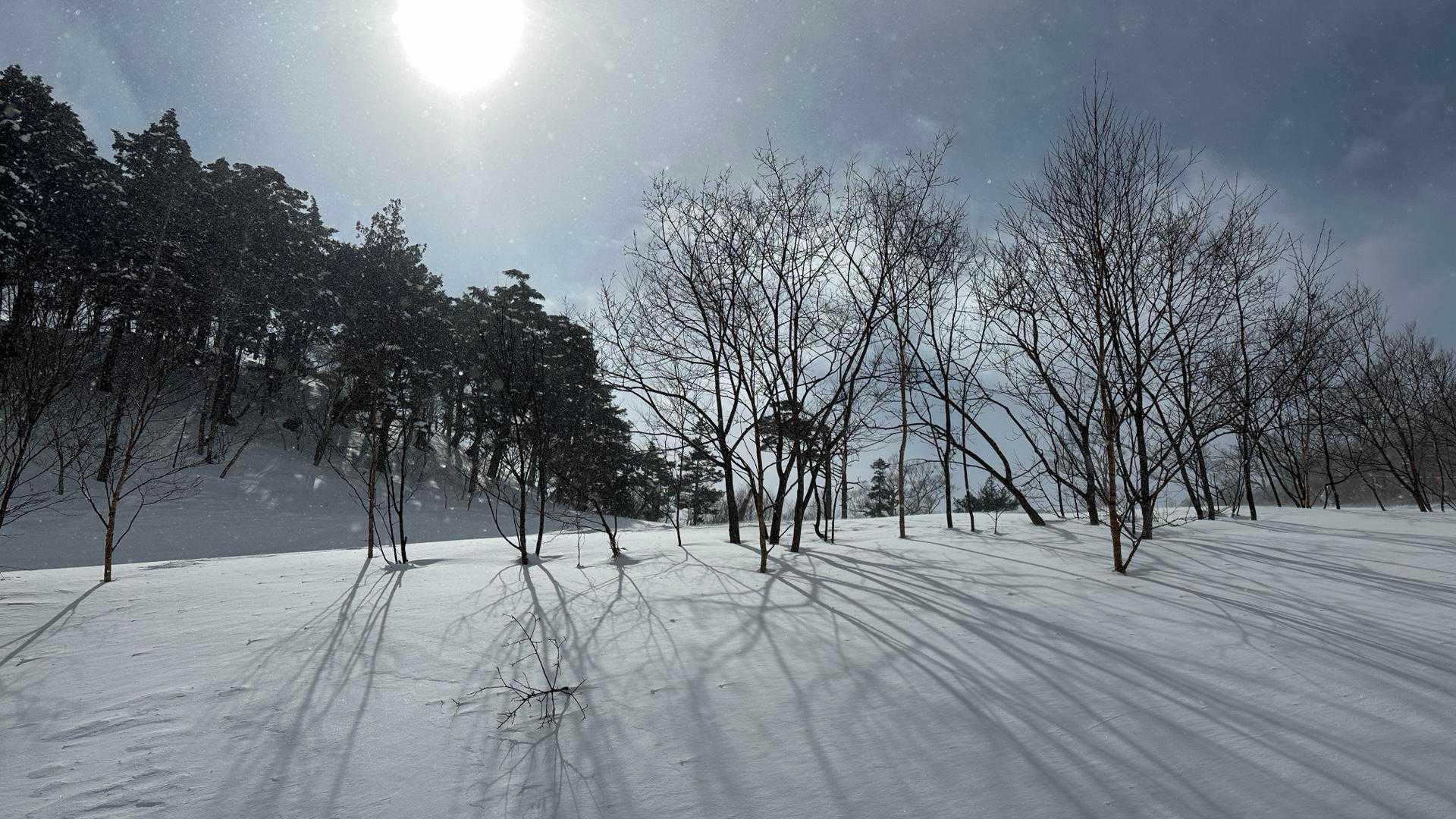 武尊山登山口-前武尊 往復コースの写真