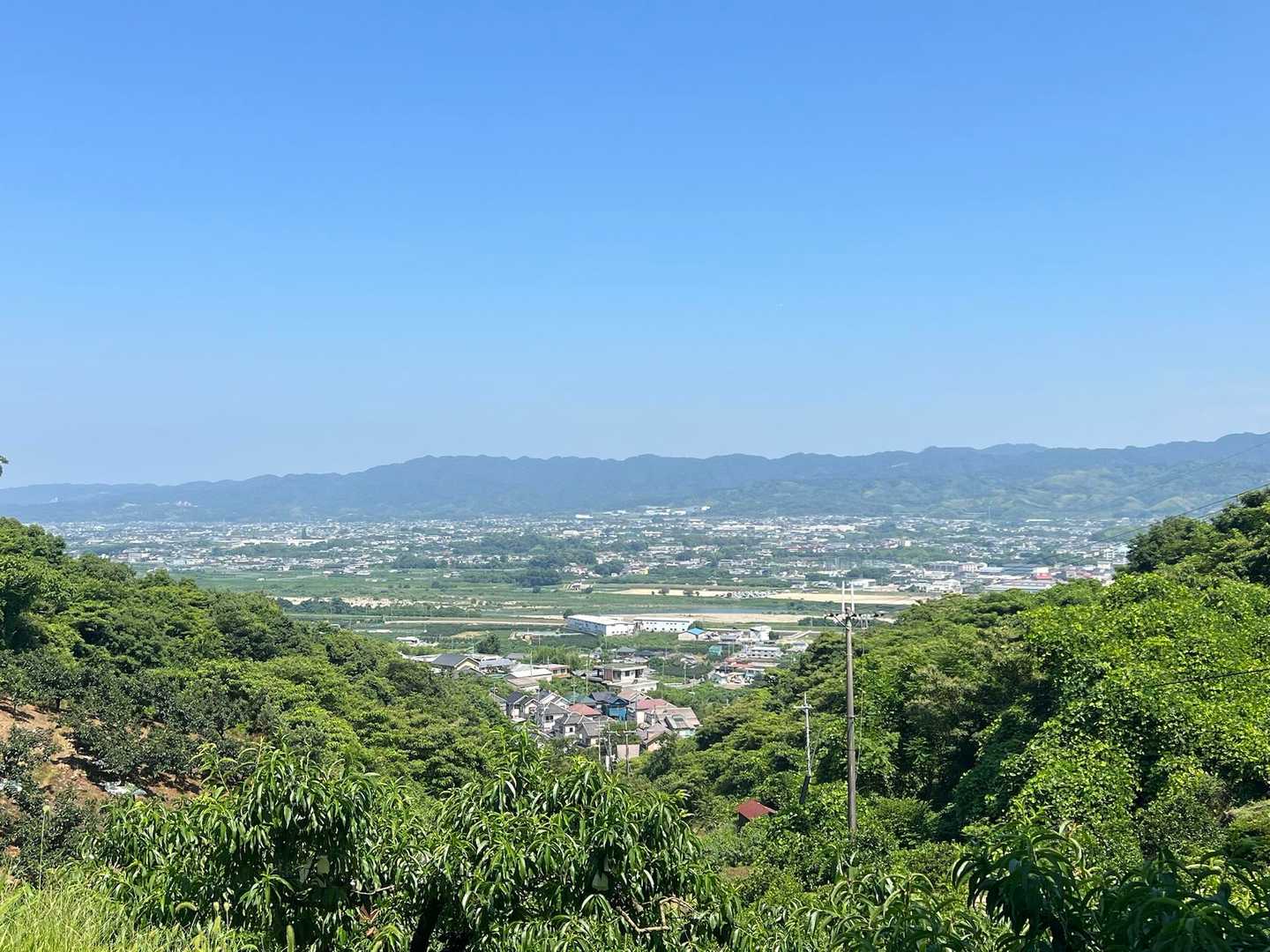前写真先の眺望。
紀泉アルプスの山々かな。