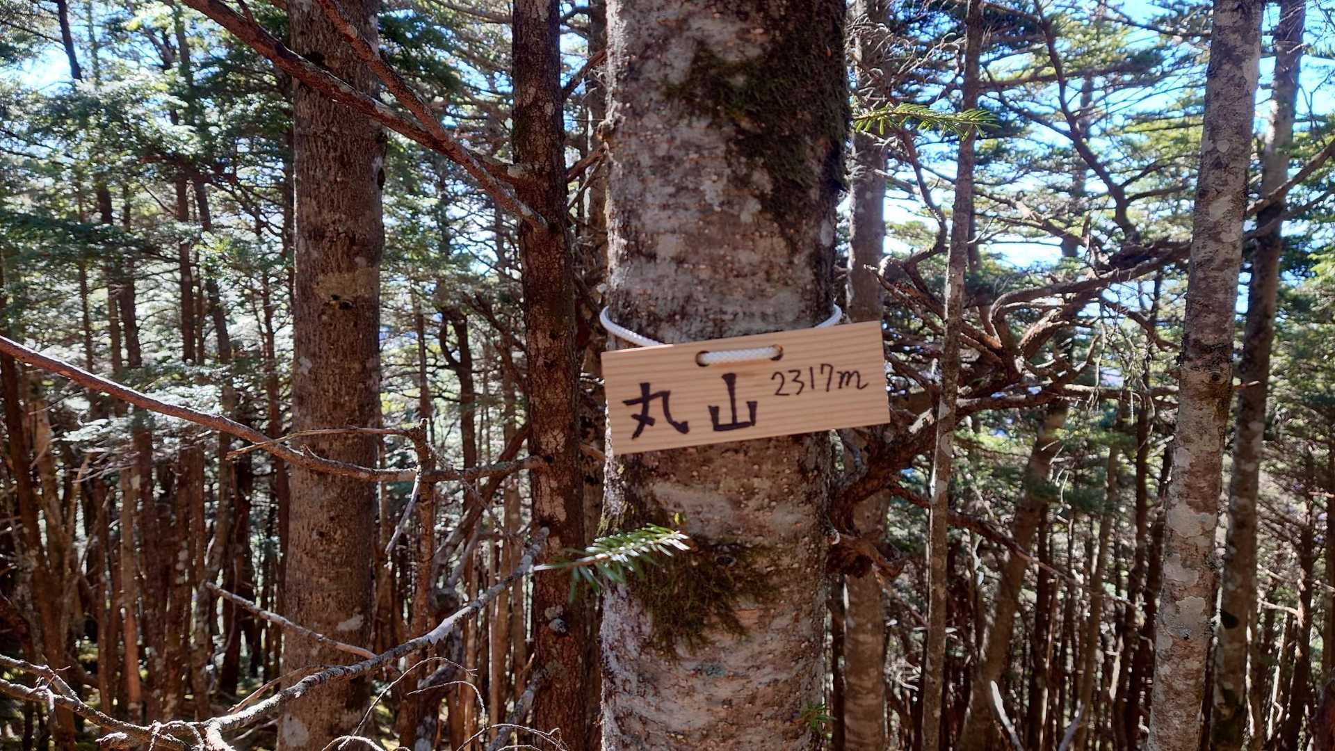 丸山　2317m
登りで標識見逃してた
