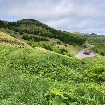 人気のコースか、たくさんの団体さん