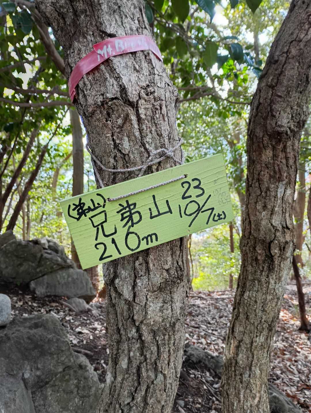 弟山へ　山頂眺望🈚