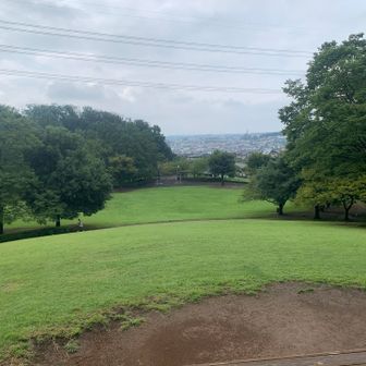 真光寺公園。いい雰囲気です。