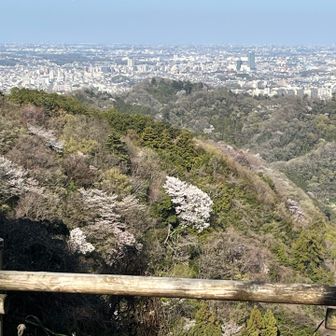 1週間早かったね