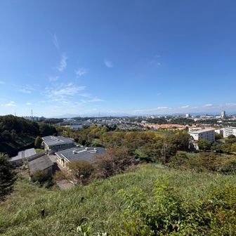 富士山は見えませんでした…