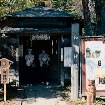 前日に行った金峰山の麓の御神木らしい