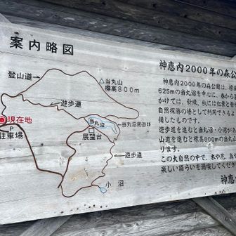 当丸山⛰️はまた今度