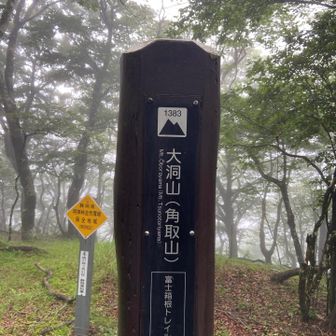 さんちょー③
