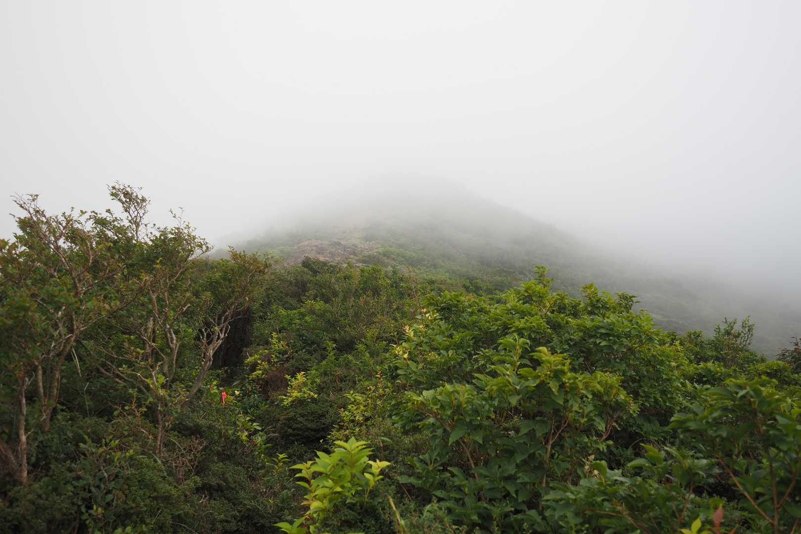 獅子戸岳まであと少し！と思ったら、雲の中から先が遠い遠い💦